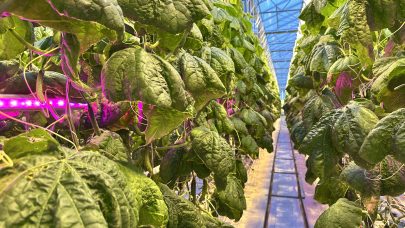 20251105 122119008 i OS